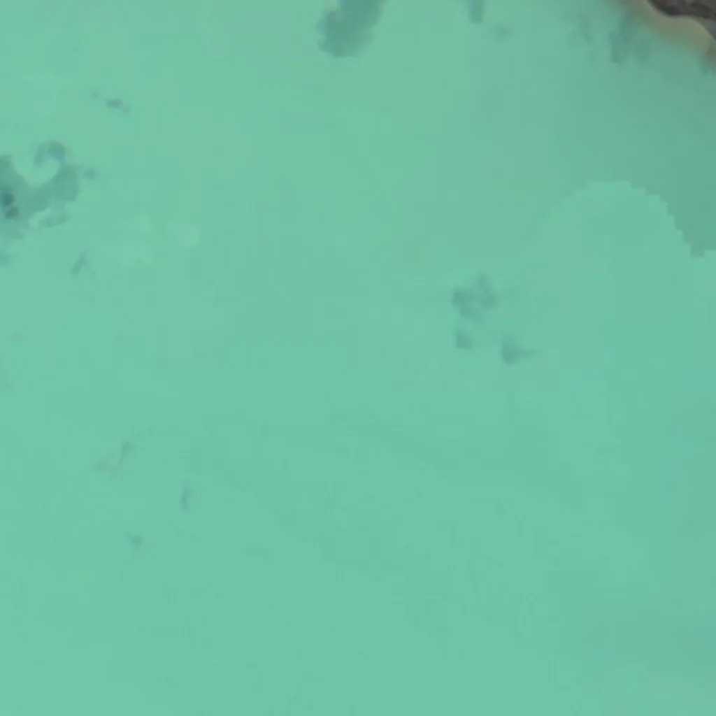 Viedma Lake seen from above (Sentinel-2)