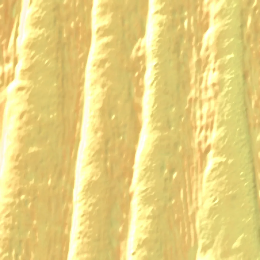 Wahiba Sands seen from above (Sentinel-2)