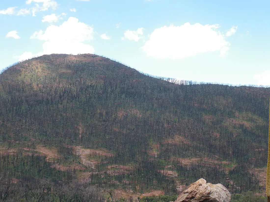 Warrumbungle NP (2013)