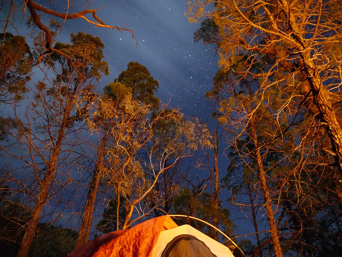 Night at Dows Camp