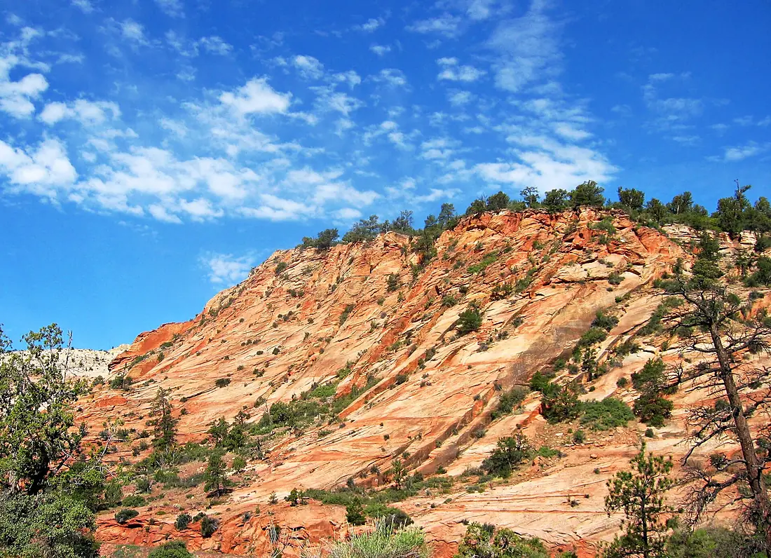 Red Cliff in Zion National Park2